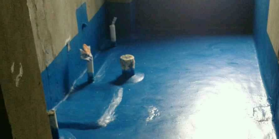 上海衛(wèi)生間防水.png